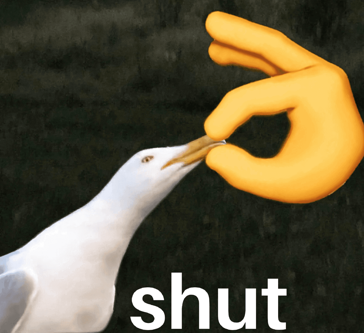 Reply image .png