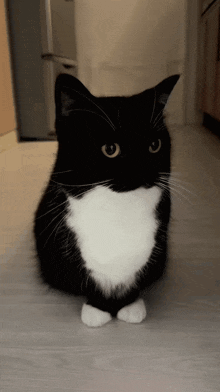 Thread image