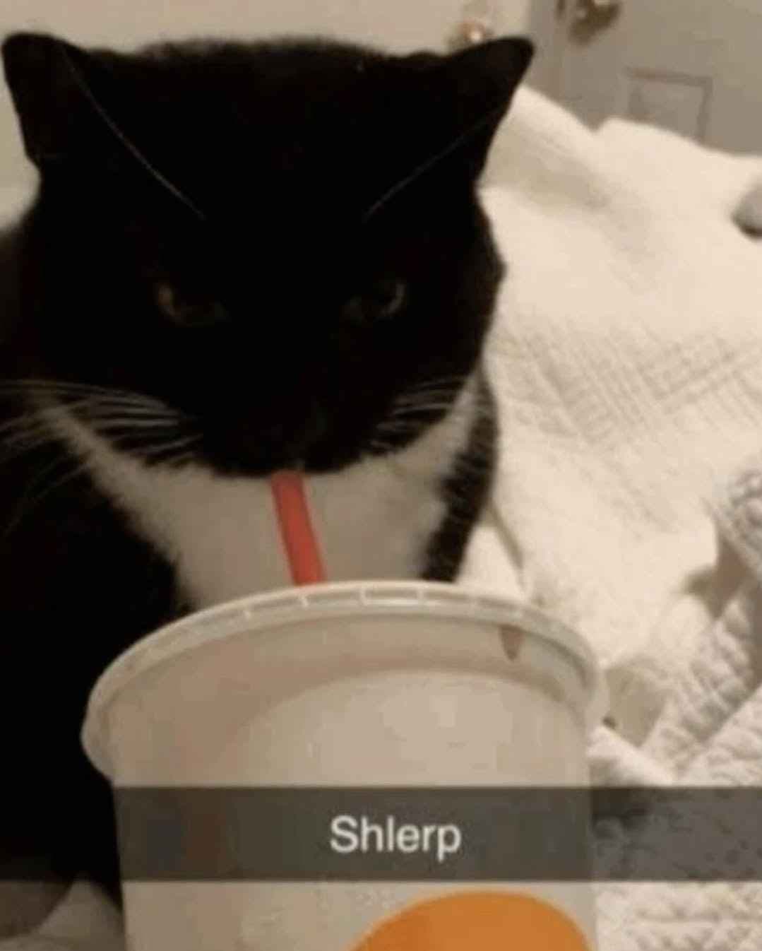 Thread image