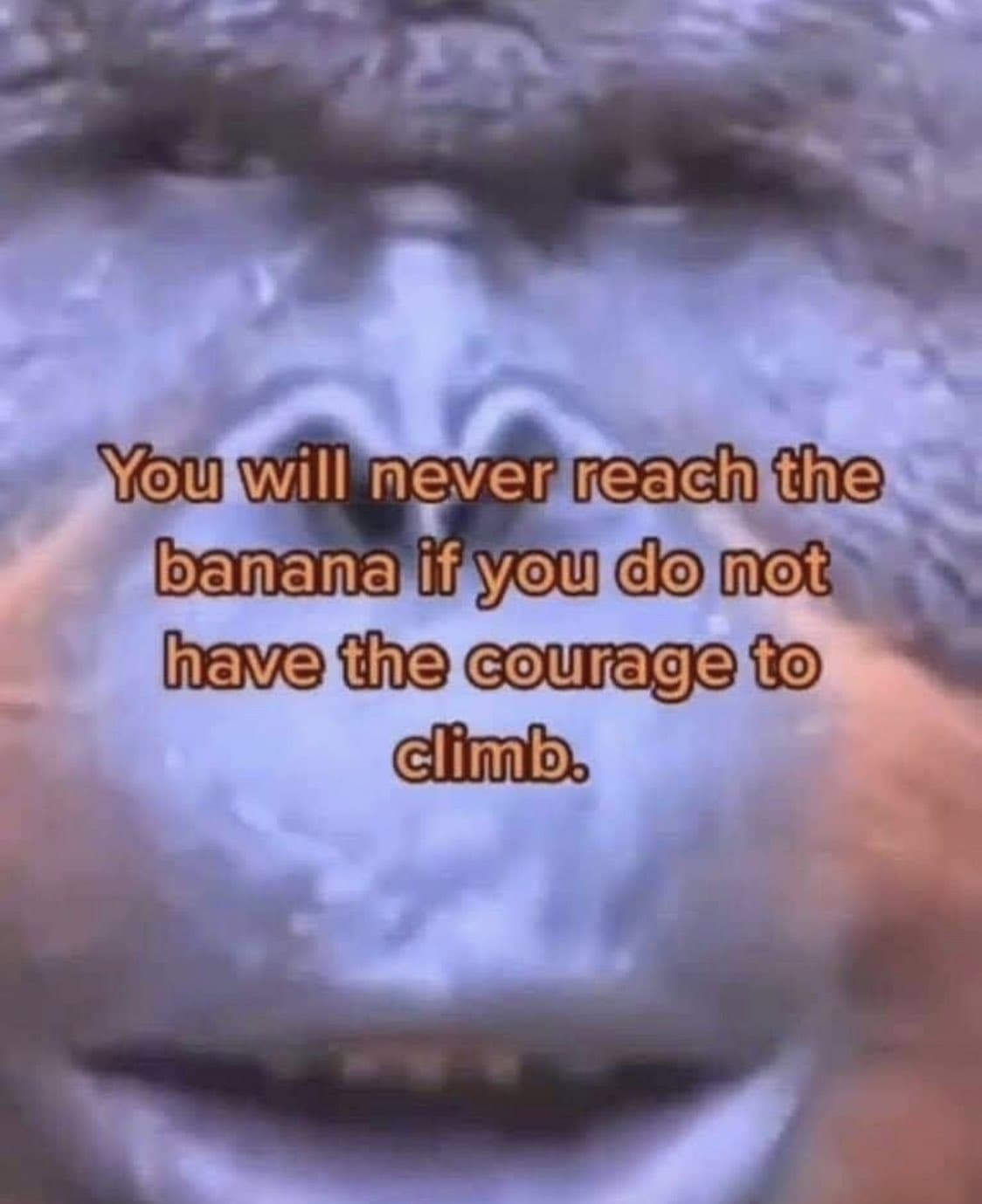 Thread image