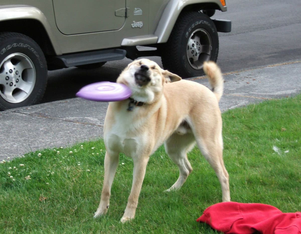Thread image