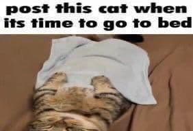Thread image
