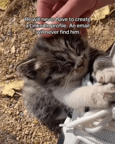Thread image
