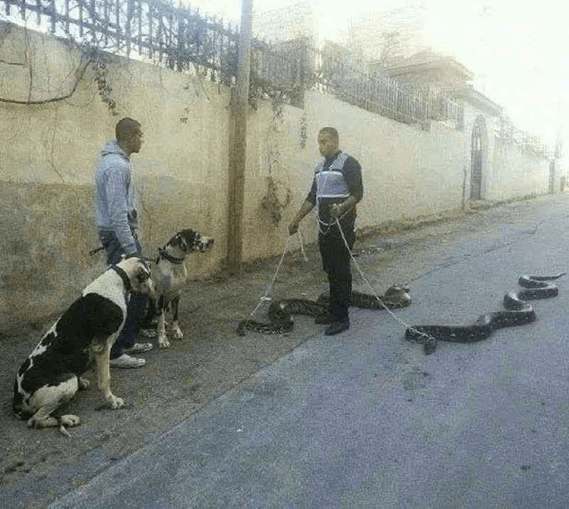 Thread image