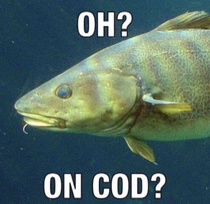 Reply image .jpg