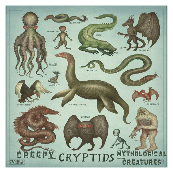 Thread image