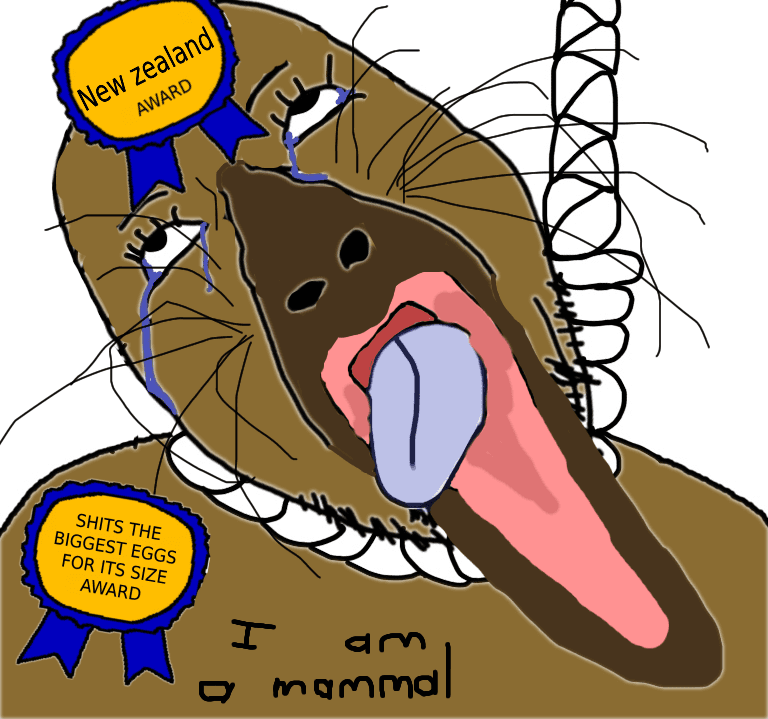 Thread image