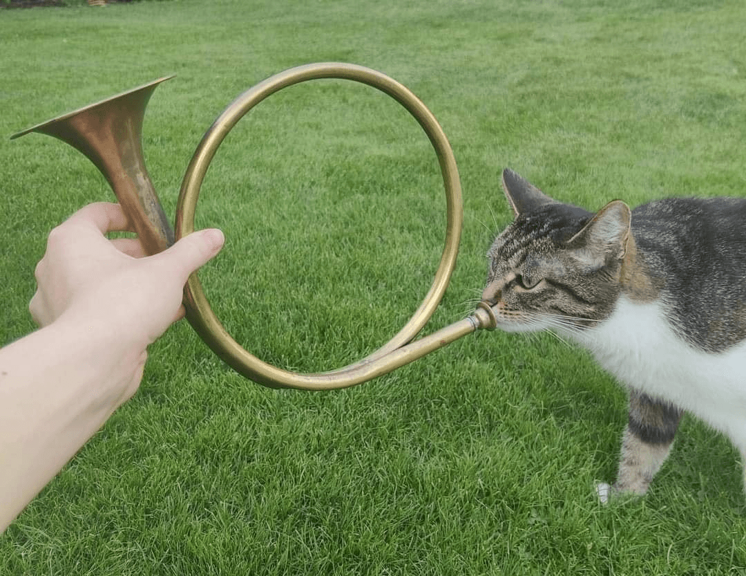 Thread image
