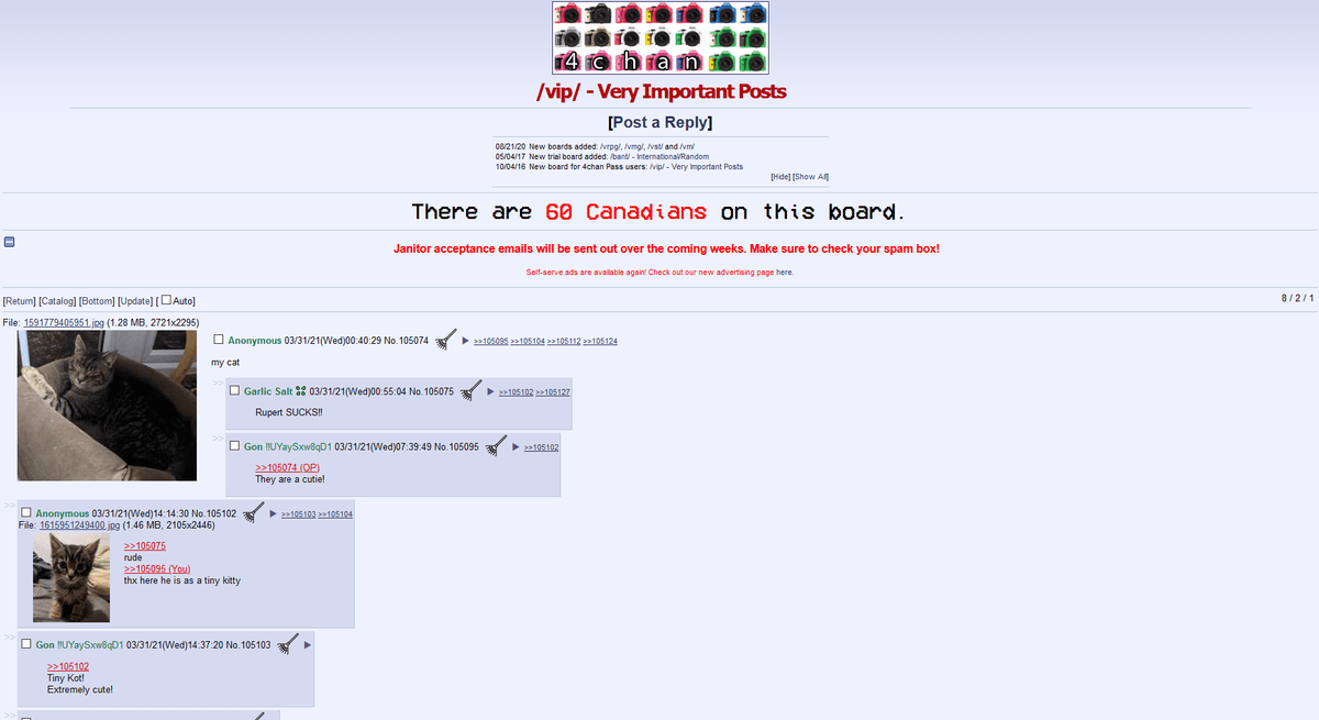 Thread image