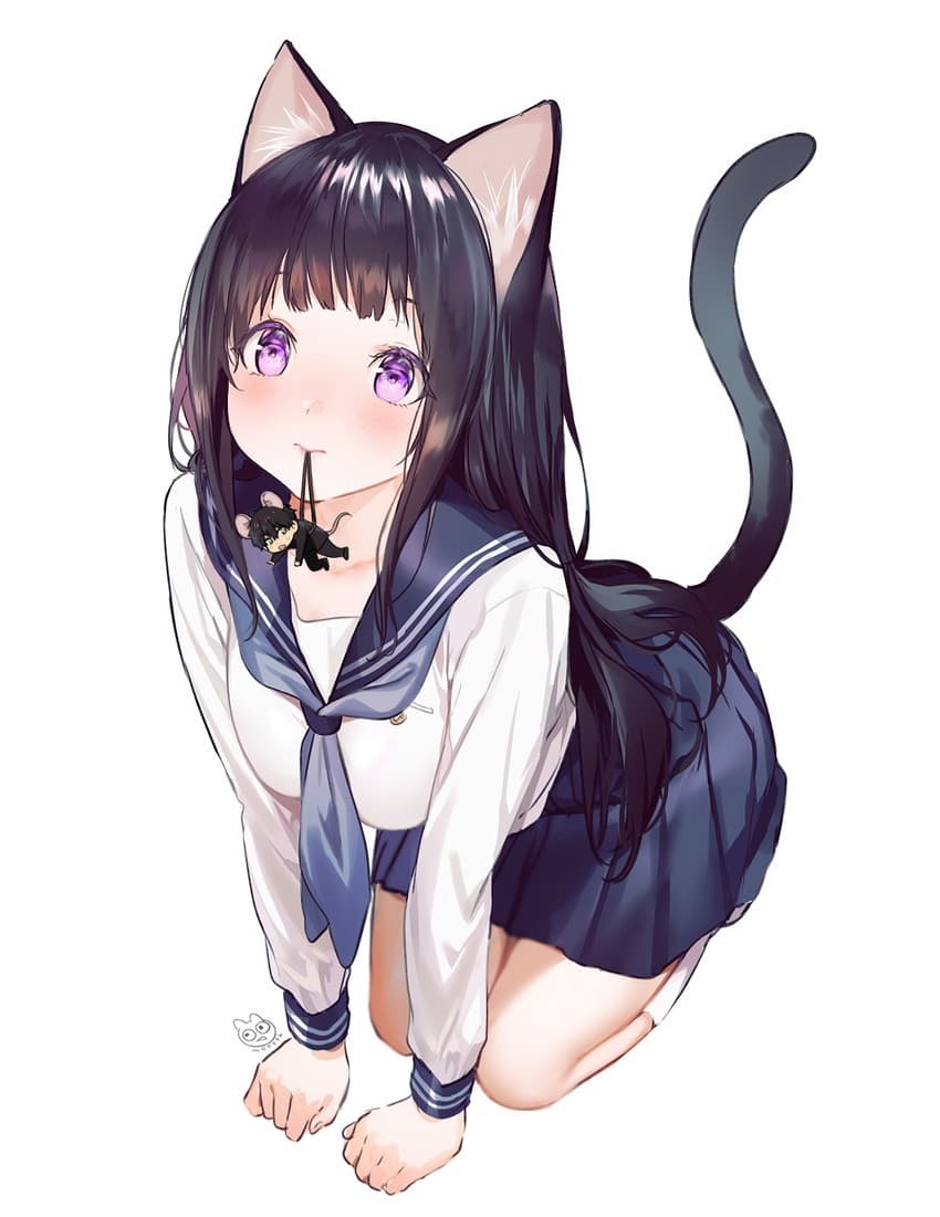 Reply image .jpg