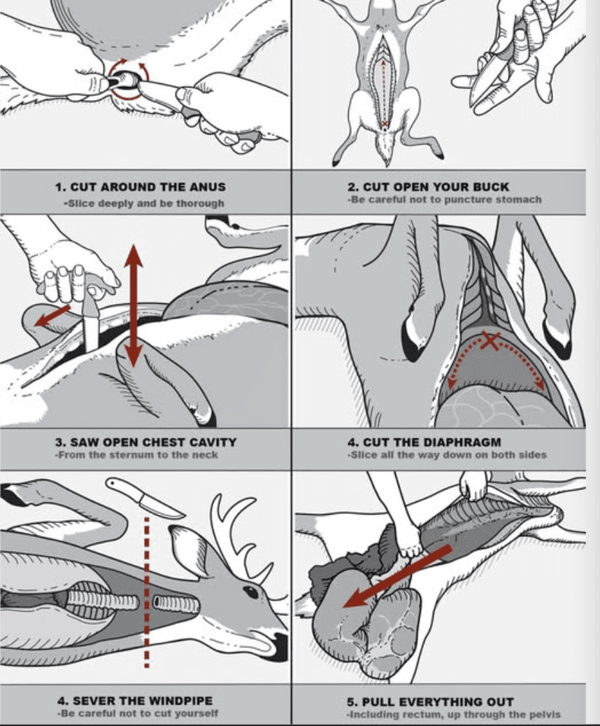 Thread image