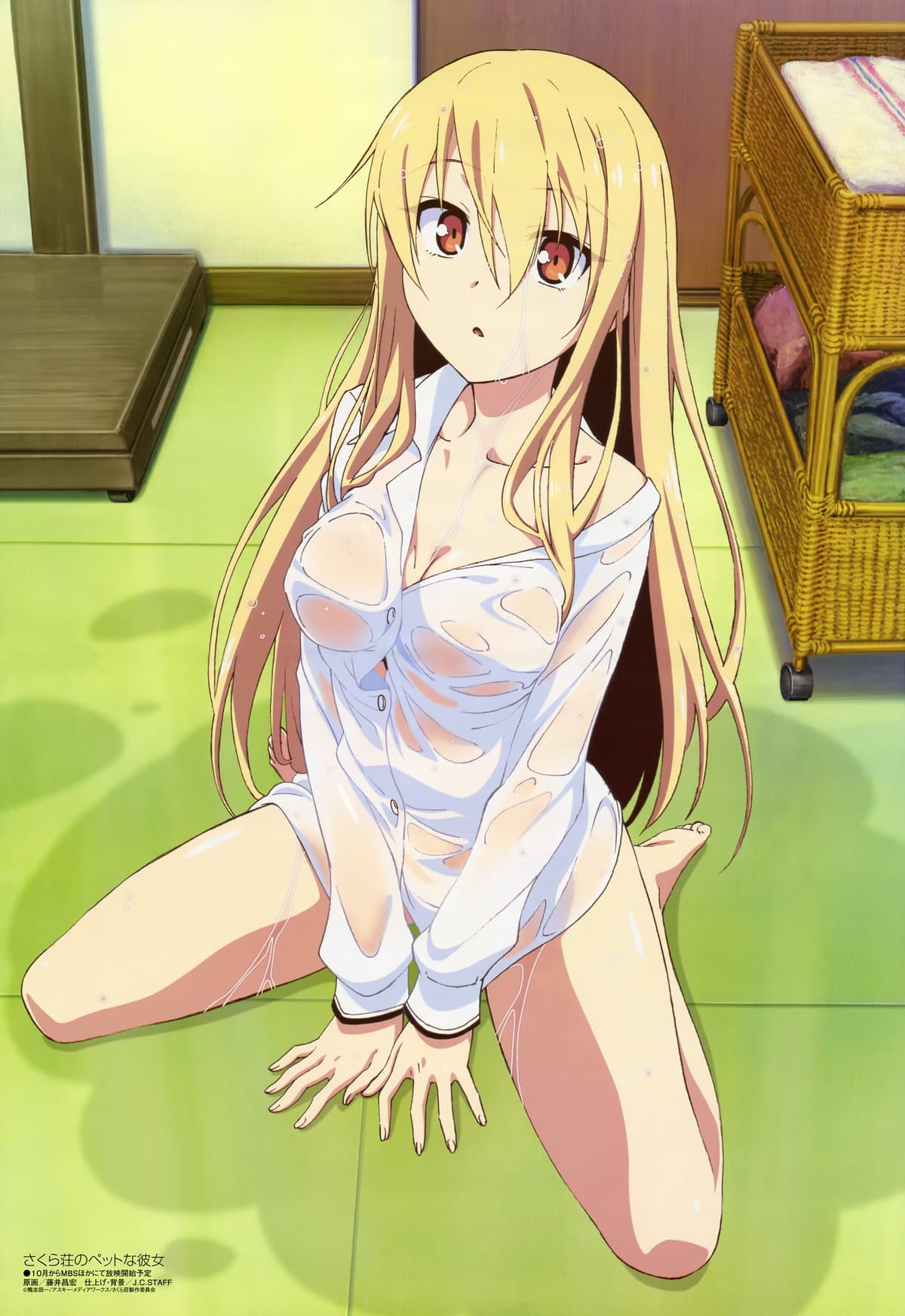 Reply image .jpg