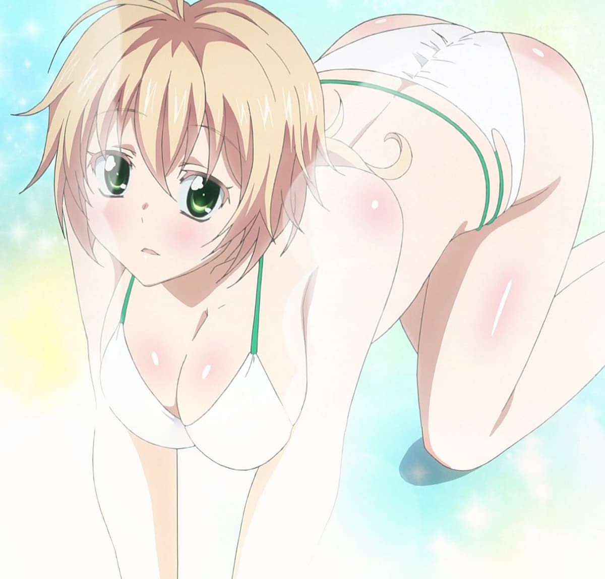 Reply image .jpg