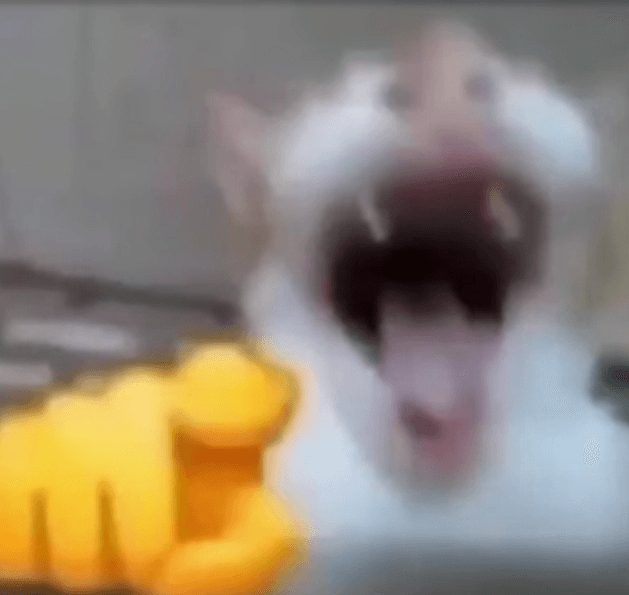 Thread image