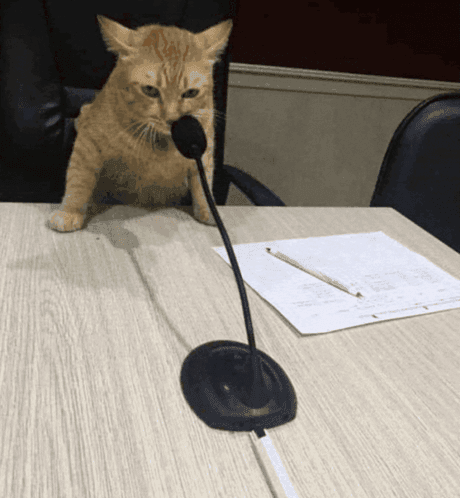 Reply image .png