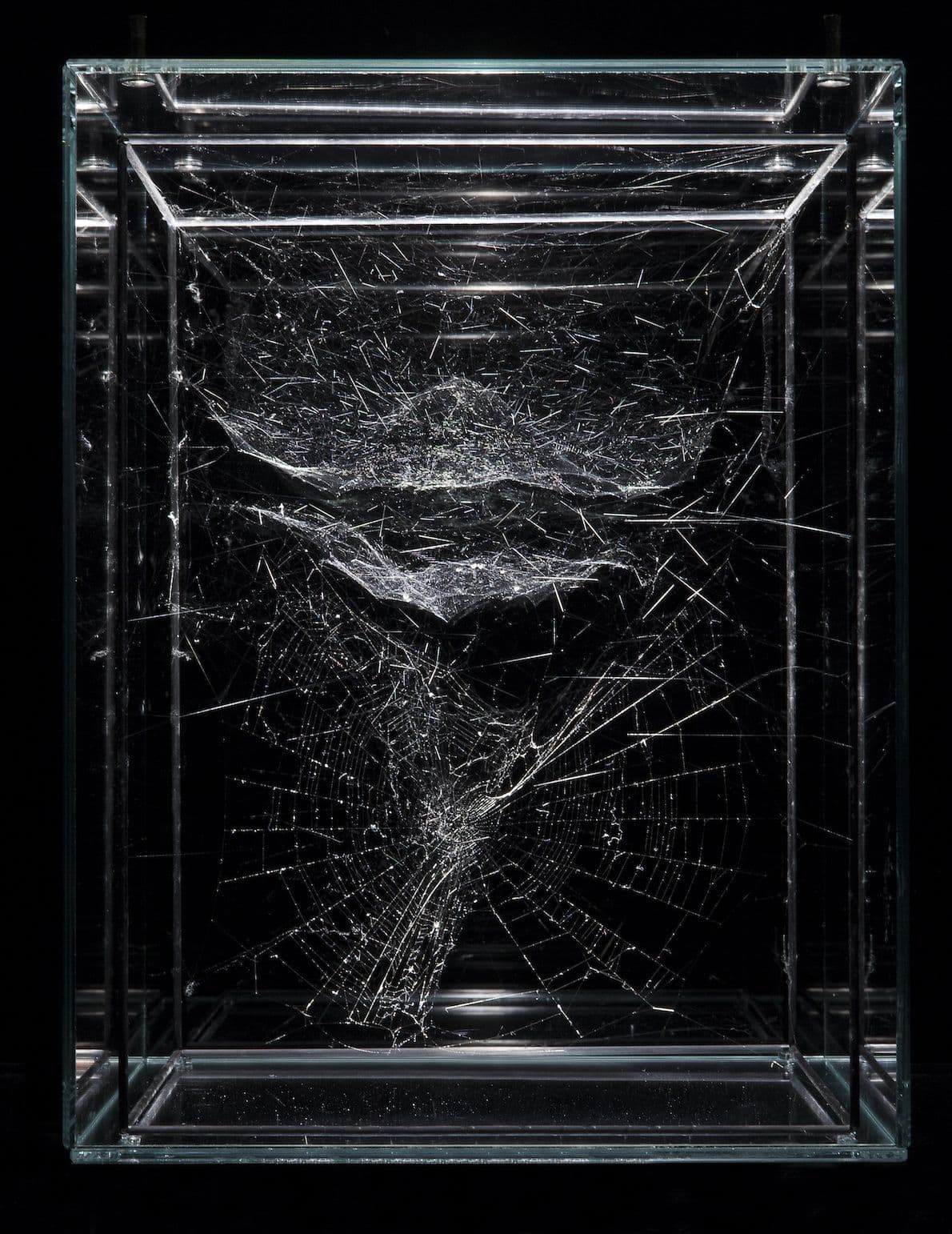 Thread image