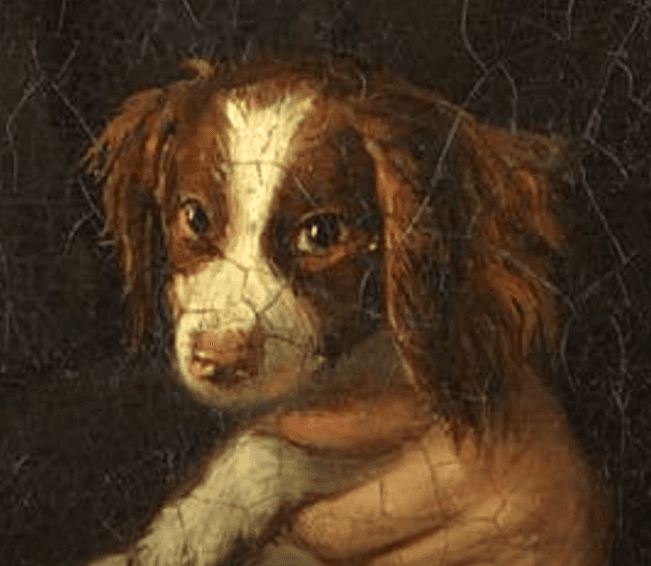 Thread image