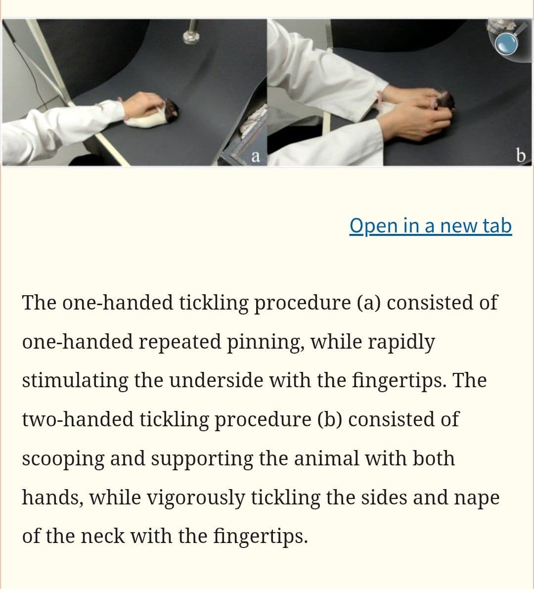 Reply image .jpg