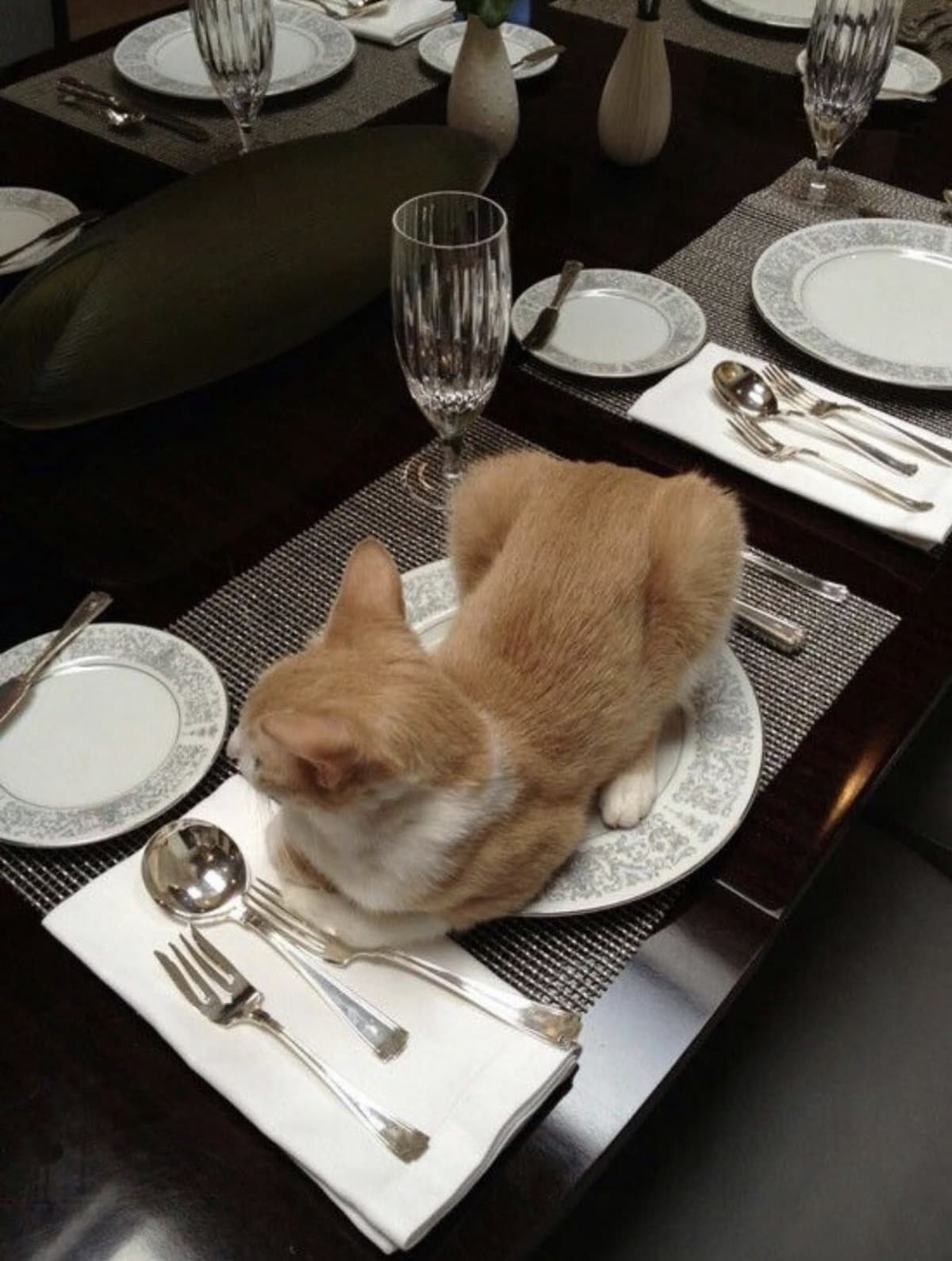Reply image .jpg