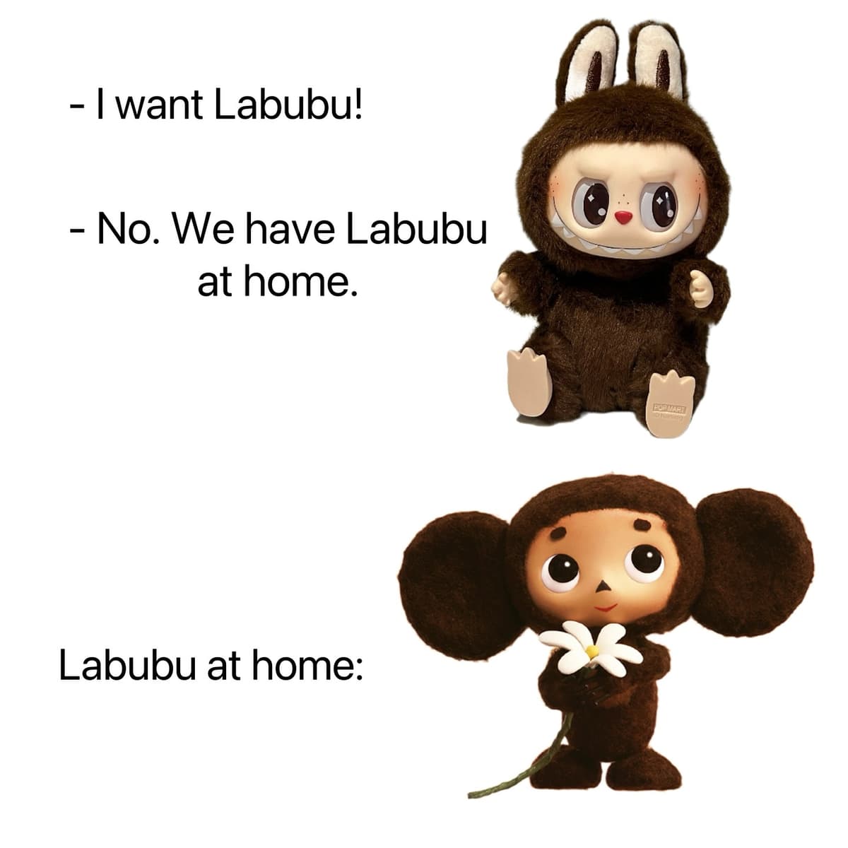 Reply image .jpg