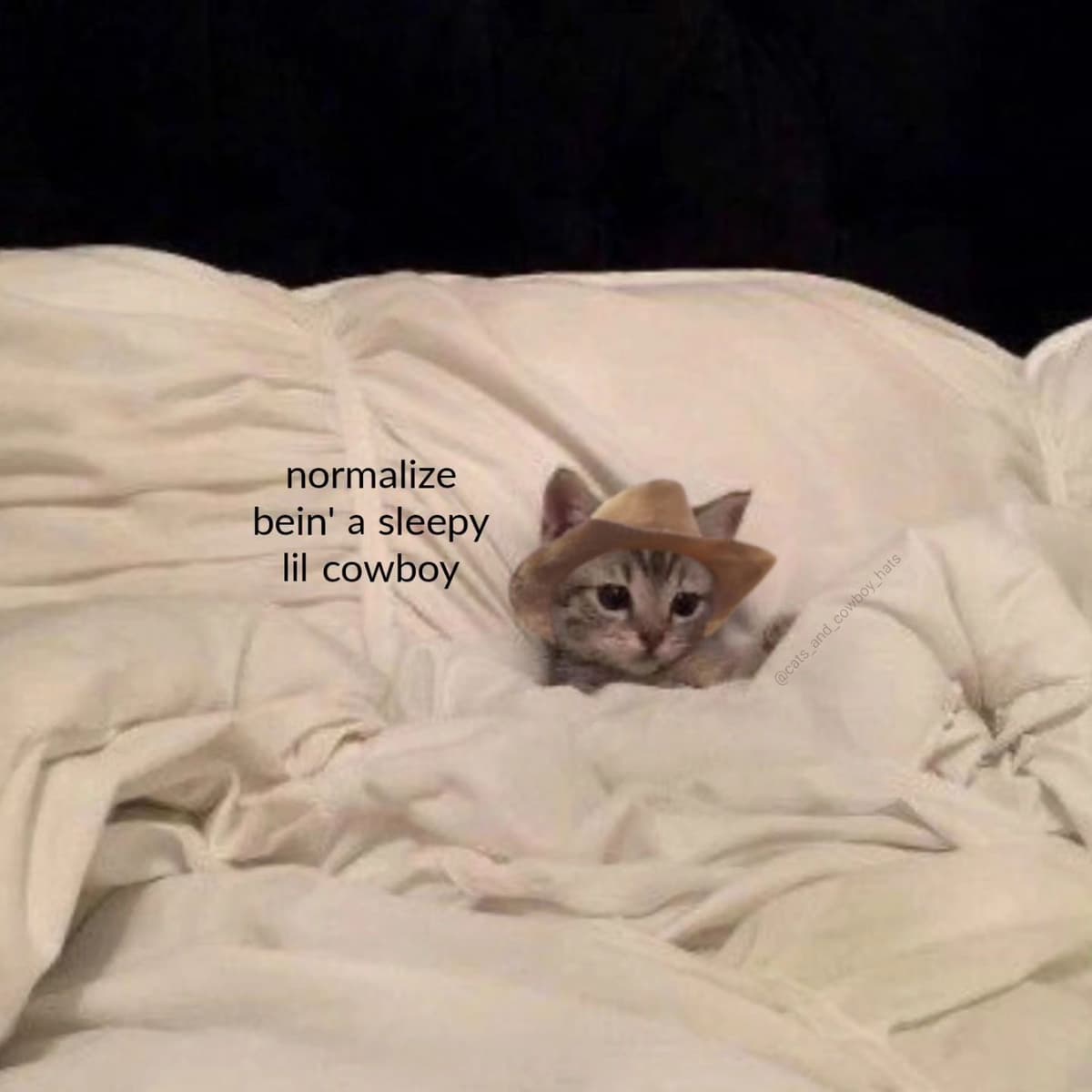 Reply image .jpg