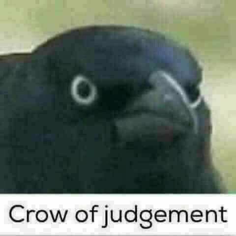 Reply image .jpg