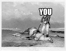 Reply image .jpg