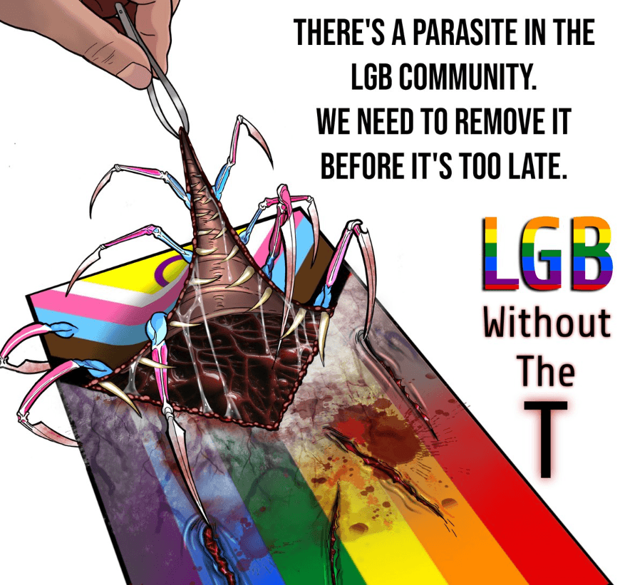 Thread image