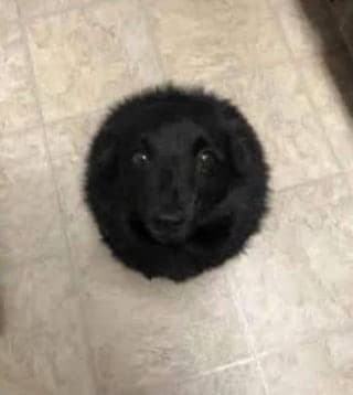 Thread image