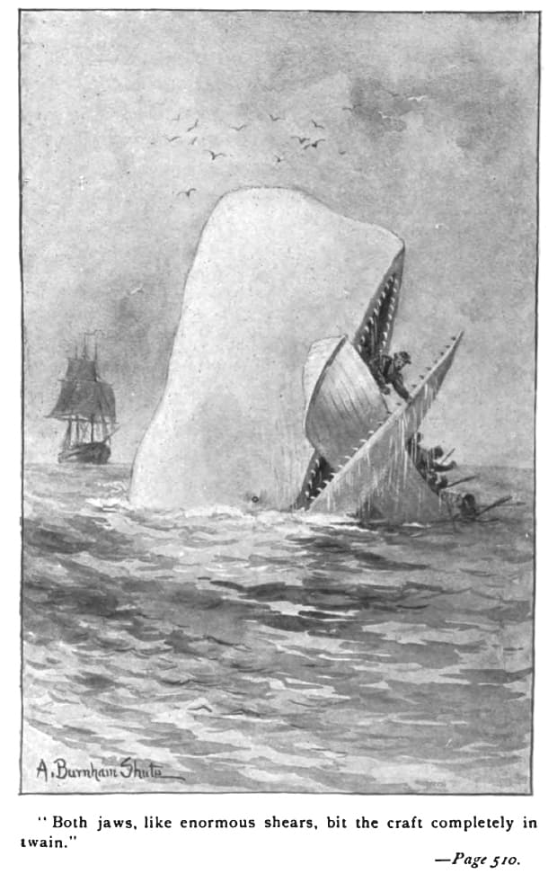 Thread image