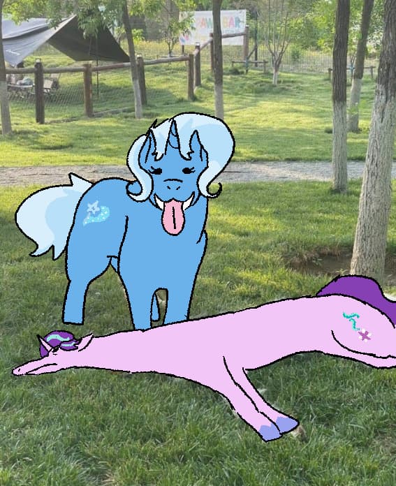 Reply image .jpg