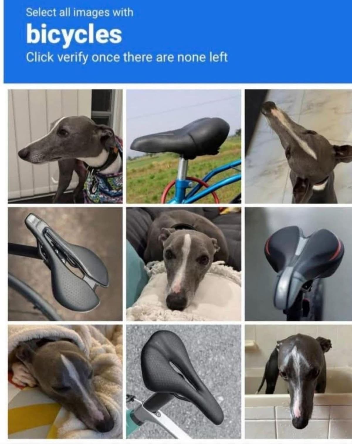 Reply image .jpg
