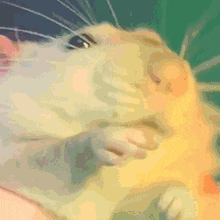Thread image