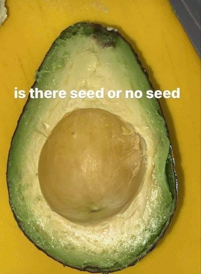 Reply image .jpg