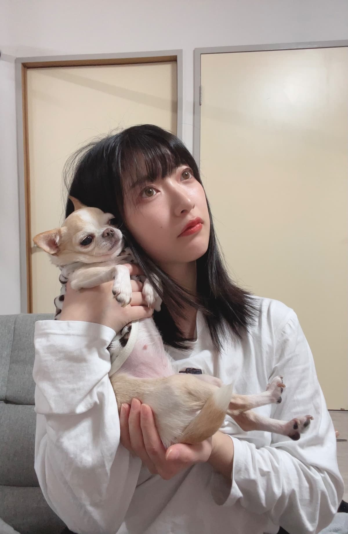 Reply image .jpg