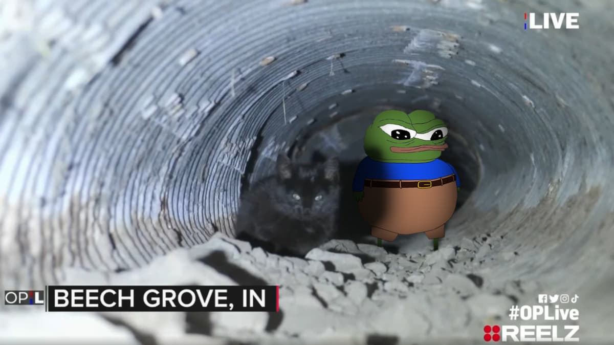 Reply image .jpg