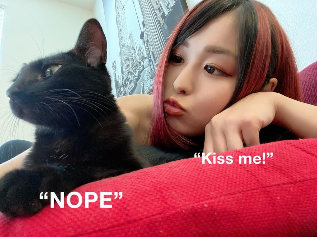 Reply image .jpg