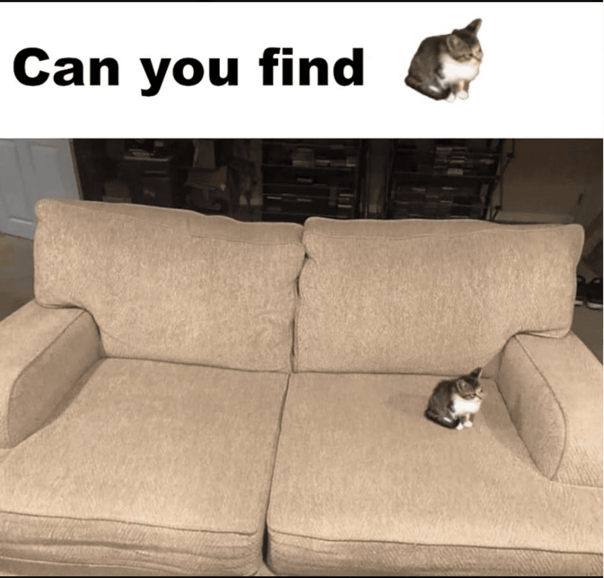 Reply image .png