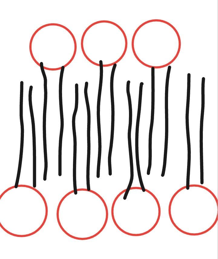 Thread image
