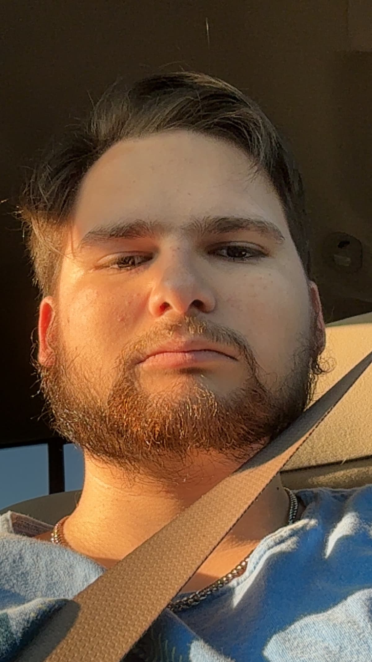 Reply image .jpg