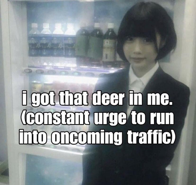 Reply image .jpg