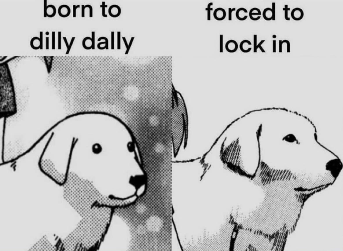 Reply image .jpg