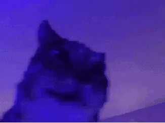 Reply image .gif