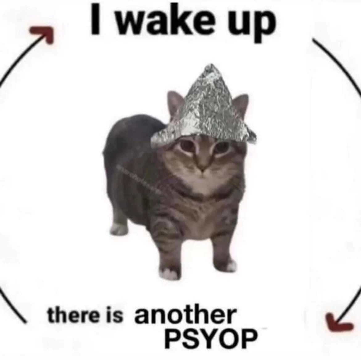 Reply image .jpg