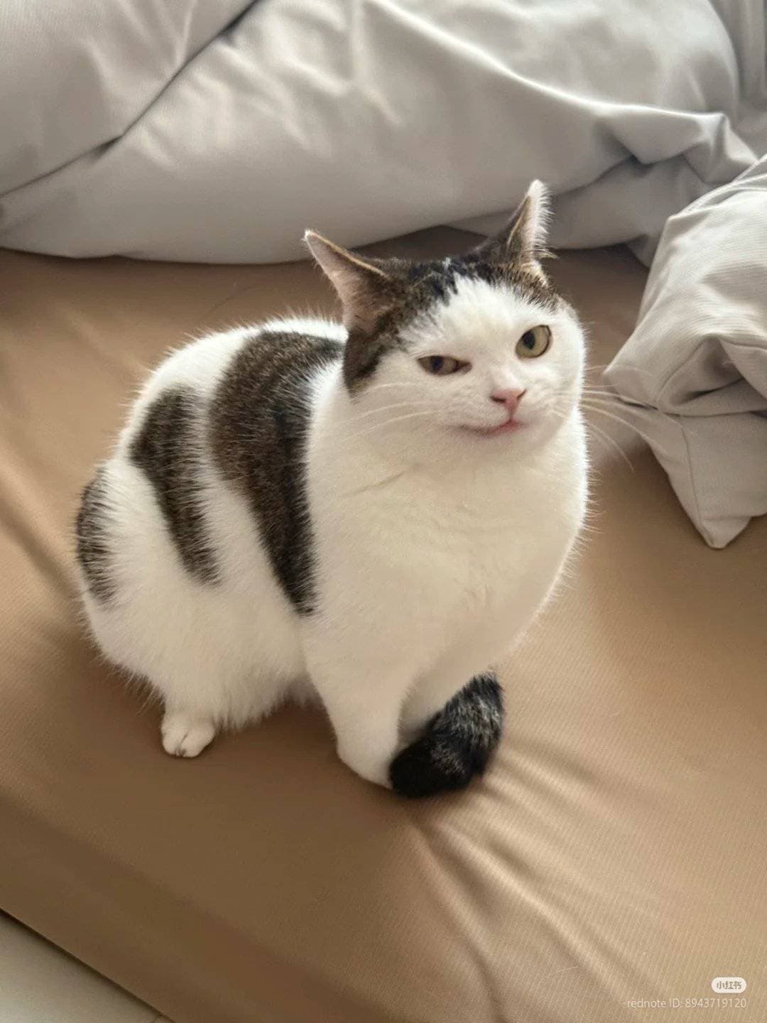 Reply image .jpg