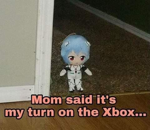 Reply image .jpg