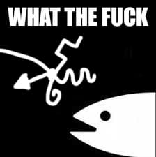 Reply image .jpg