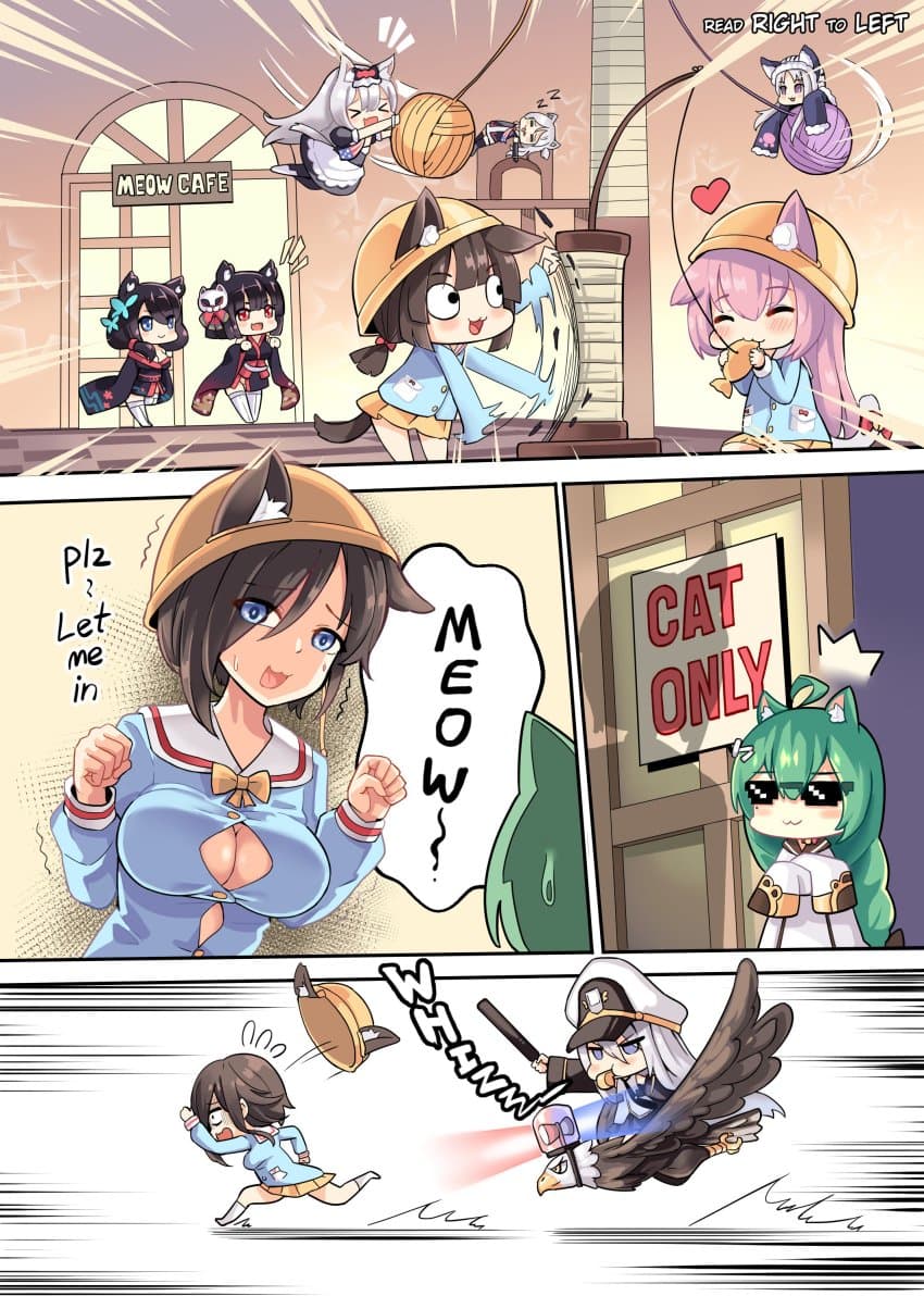 Reply image .jpg