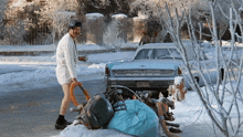 Reply image .gif