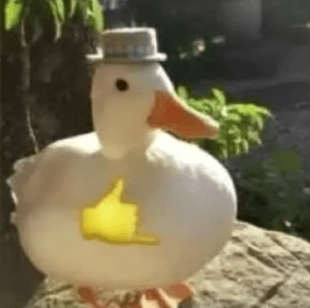 Reply image .png